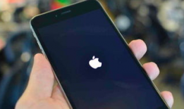 苹果视频,探索科技魅力，解锁创新生活